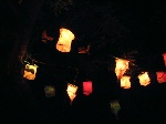 Maulbeerbaum bei Nacht 2